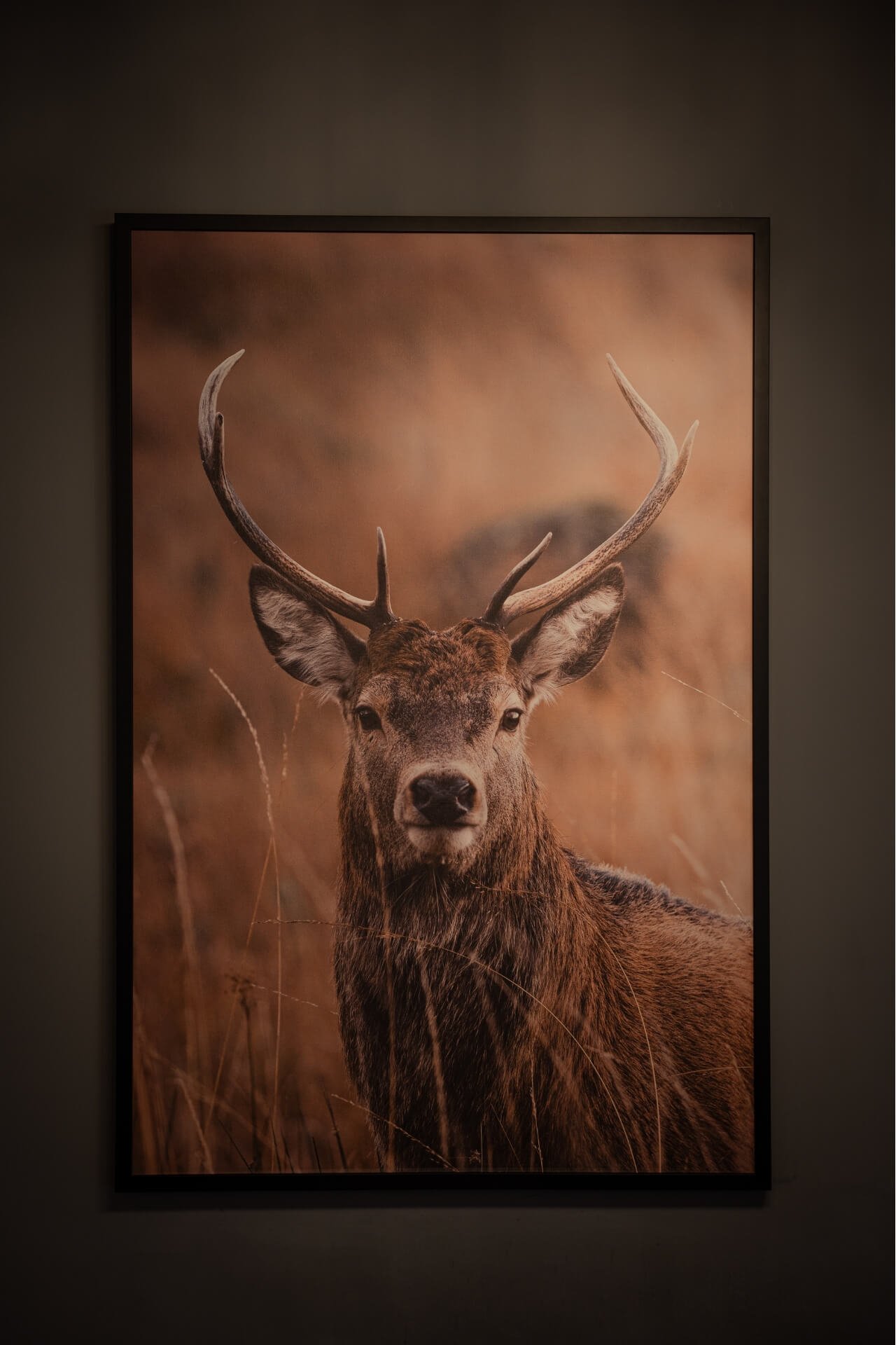 Painting of a deer inside the villa at Green Resort Bran