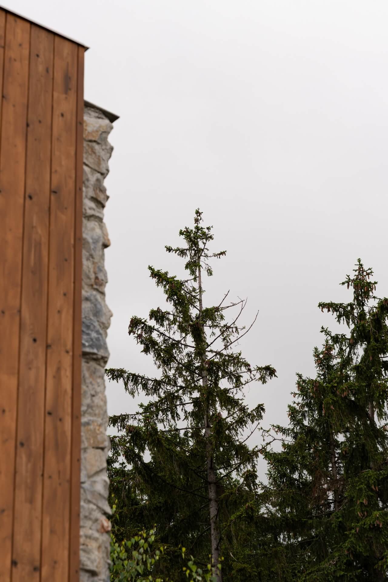 Pine trees next to the hotel with cloudy sky
